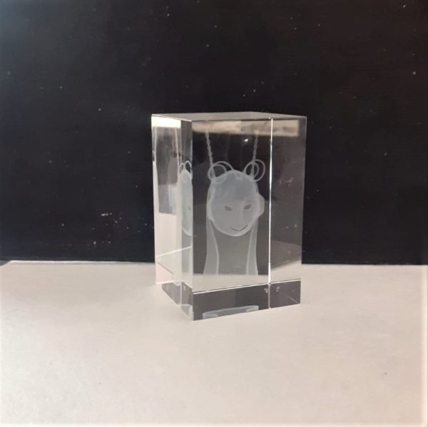 Cub de vidre amb imatge 3D d'una carota de la Patum, ofert per la Joieria Canals a El Formiguer, el Centre comercial online del Berguedà.
